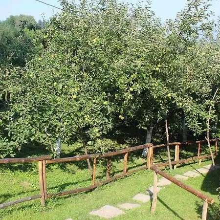 Medena Oaza Mira 度假居