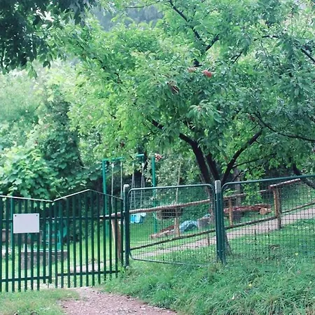 Medena Oaza Mira Visoko